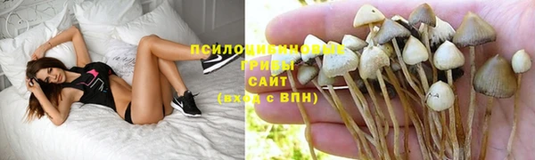 мескалин Аркадак