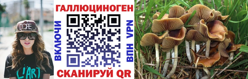 Псилоцибиновые грибы мухоморы  blacksprut маркетплейс  Заполярный  хочу наркоту 